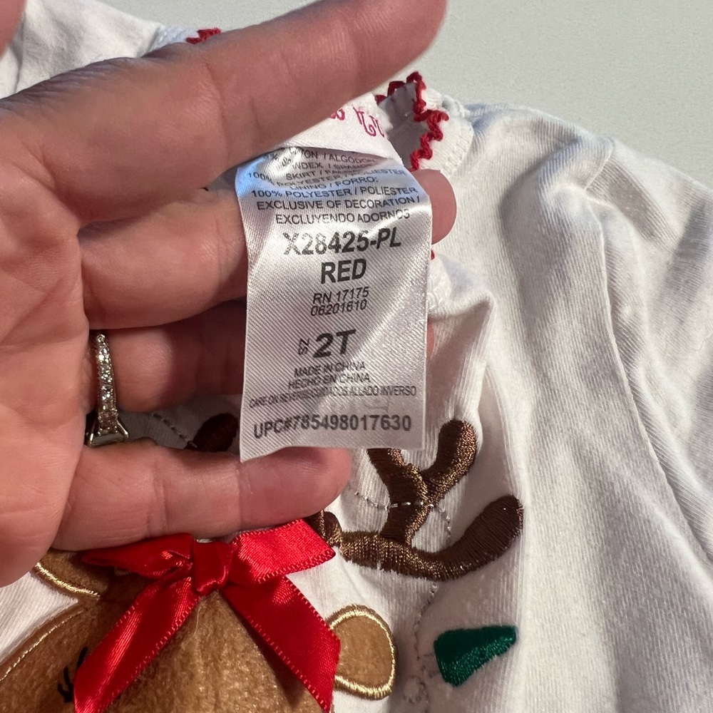 2T Holiday outfit in great condition